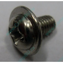 Компьютерный винт "малый" PW-M3x6mm (Воркута)