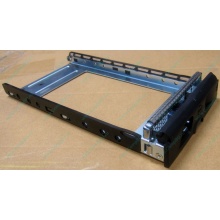 Салазки GMH100100AG0 для HDD для Infortrend EonStor (Воркута)