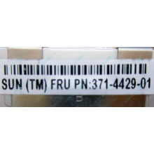 Серверная память SUN (FRU PN 371-4429-01) 4096Mb (4Gb) DDR3 ECC в Воркуте, память для сервера SUN FRU P/N 371-4429-01 (Воркута)