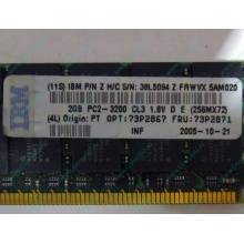 IBM 73P2871 73P2867 2Gb (2048Mb) DDR2 ECC Reg memory (Воркута)