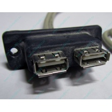USB-разъемы HP 451784-001 (459184-001) для корпуса HP 5U tower (Воркута)