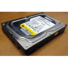 Жесткий диск 160Gb WD WD1602ABKS SATA (Воркута)
