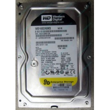 Жесткий диск 160Gb WD WD1602ABKS SATA (Воркута)