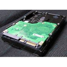 Жесткий диск 600Gb 15k Dell 9FN066-008 6G SAS ( Seagate Cheetach ST3600057SS 15K.7) - Воркута