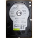 Б/У жёсткий диск 400Gb WD WD4000YR Caviar RE2 7200 rpm SATA  (Воркута)