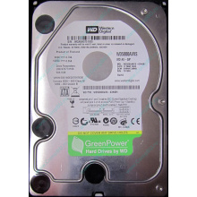 Б/У жёсткий диск 500Gb Western Digital WD5000AVVS (WD AV-GP 500 GB) 5400 rpm SATA (Воркута)