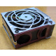 HP 224977 (224978-001) for Proliant ML370 G2/G3/G4 (Воркута).