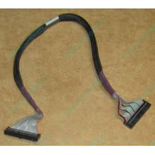FDD-кабель HP 271946-006 для ML370 (Воркута)