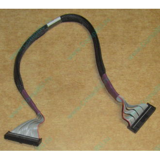 FDD-кабель HP 271946-006 для HP ML370 G3 G4 (Воркута)