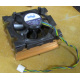 Intel D34088-001 s603 / s604 (Воркута)