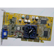 Видеокарта Asus V8170 64Mb nVidia GeForce4 MX440 AGP Asus V8170DDR (Воркута)