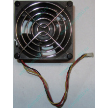 Вентилятор EFB0812HHE IBM 59P23B1 FRU 59P2572 (Воркута)
