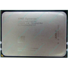 AMD Opteron 6128 OS6128WKT8EGO (Воркута)