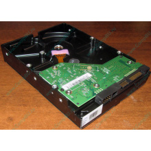 Жесткий диск 500Gb WD WD5000AAKX HP 634605-003 613208-001 7.2k SATA (Воркута)