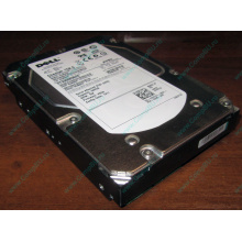Жесткий диск 300Gb 15k Dell 9CH066-050 6G SAS (Seagate Cheetach ST3300656SS 15K.6) - Воркута