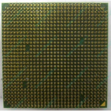 Процессор AMD Sempron 3000+ (1.6GHz) SDA3000IAA3CN s.AM2 (Воркута)